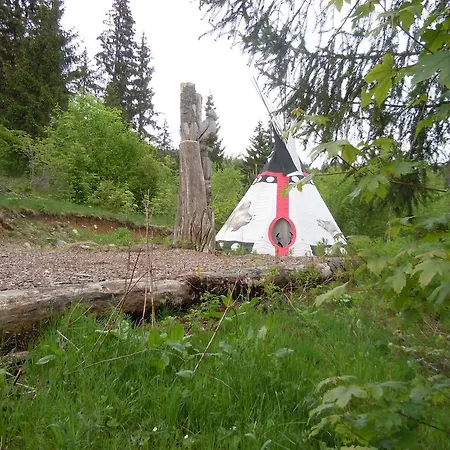 Klosterweiherhof 2* Dachsberg im Schwarzwald