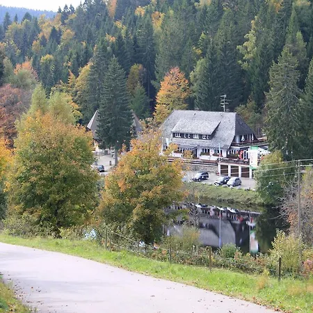 Klosterweiherhof Dachsberg im Schwarzwald