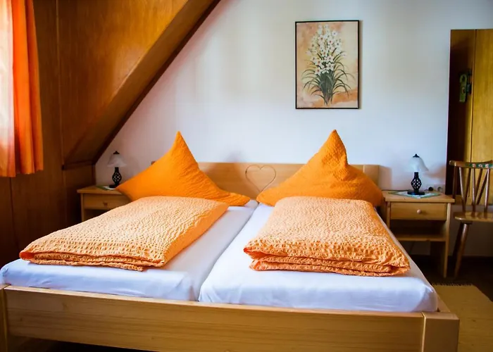 Klosterweiherhof 2* Dachsberg im Schwarzwald