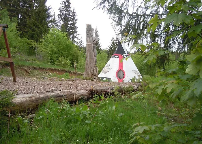 Klosterweiherhof 2* Dachsberg im Schwarzwald